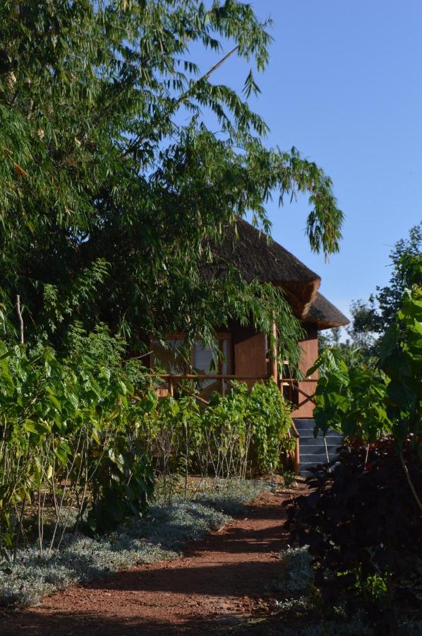 Rutete Eco Lodge Rwinkwavu Kültér fotó