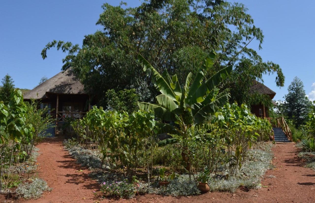 Rutete Eco Lodge Rwinkwavu Kültér fotó