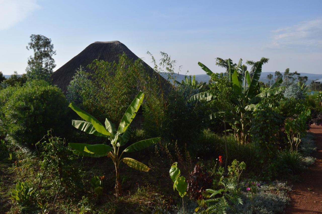 Rutete Eco Lodge Rwinkwavu Kültér fotó