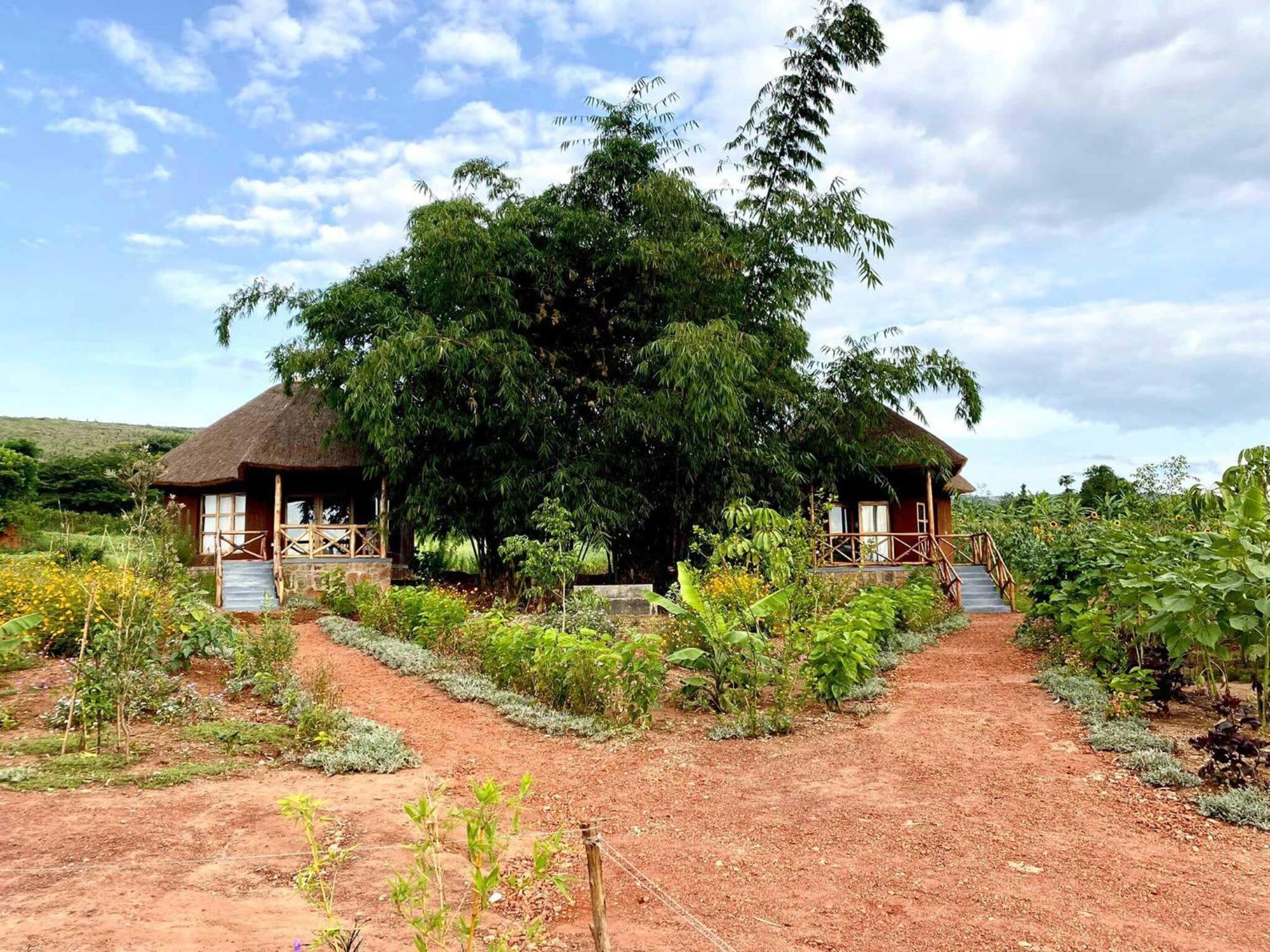 Rutete Eco Lodge Rwinkwavu Kültér fotó